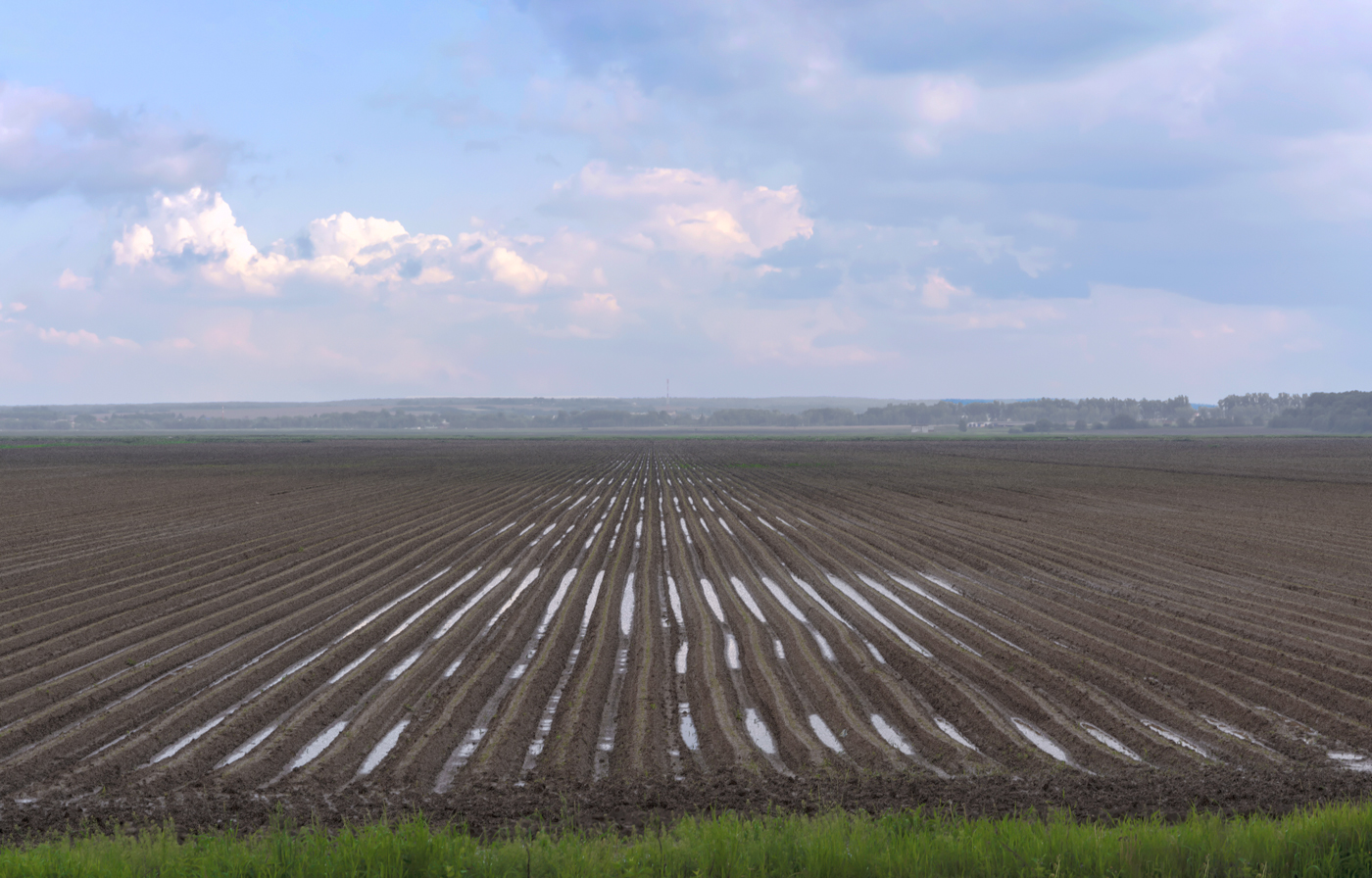 после дождя