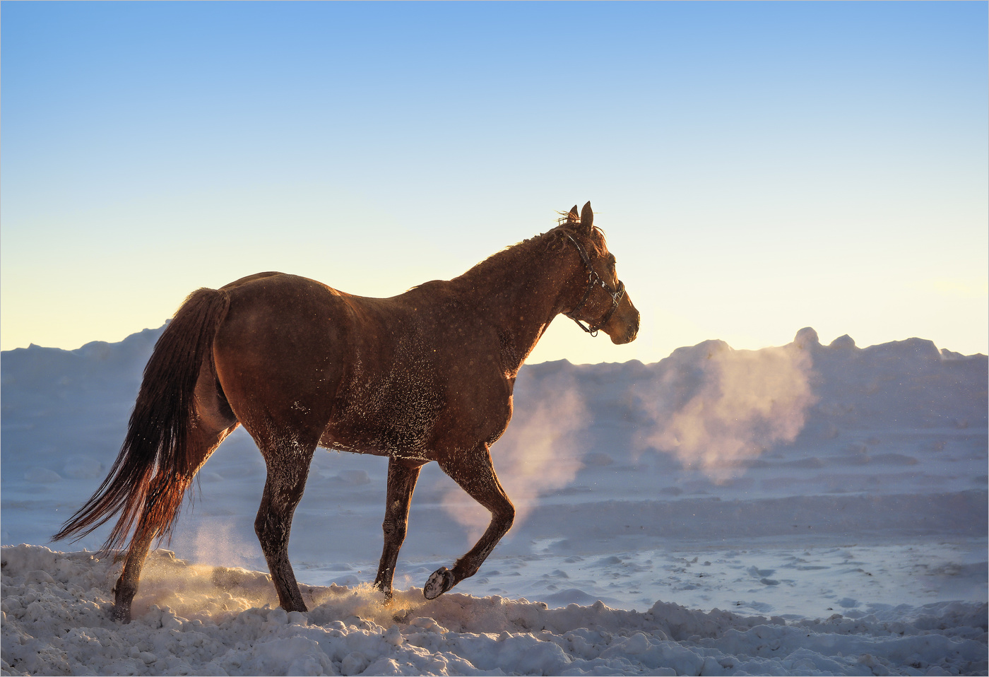 Солнце светит , но не греет