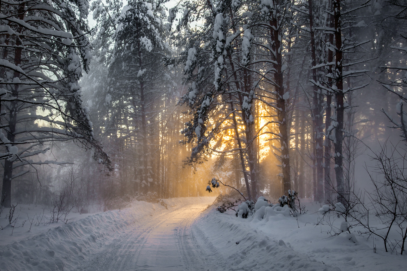 На исходе дня