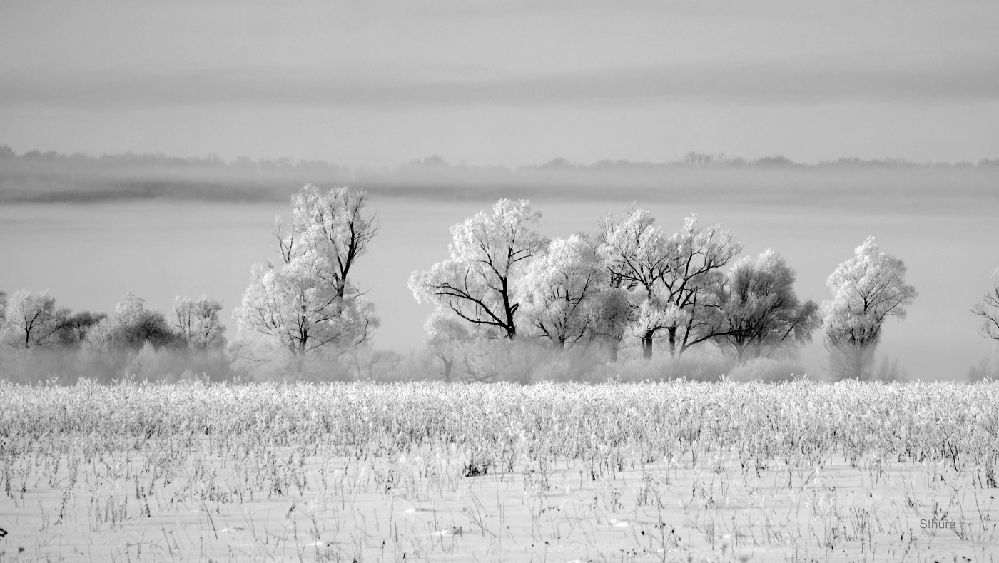 Морозное утро.