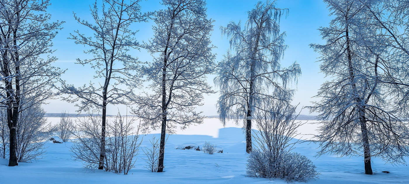 Зимняя сказка