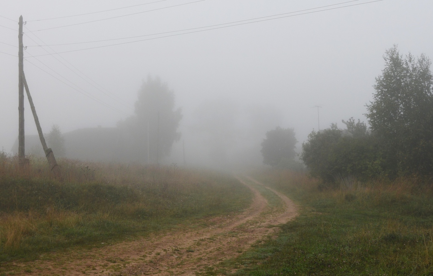 И лишь кричали третьи петухи ...