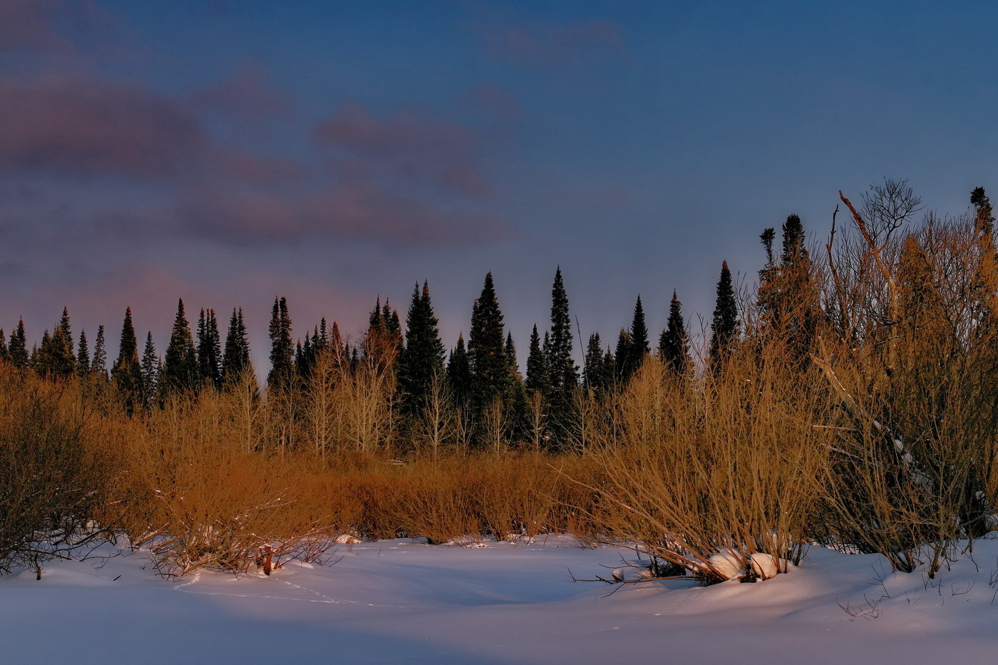 *Вечерний свет.**