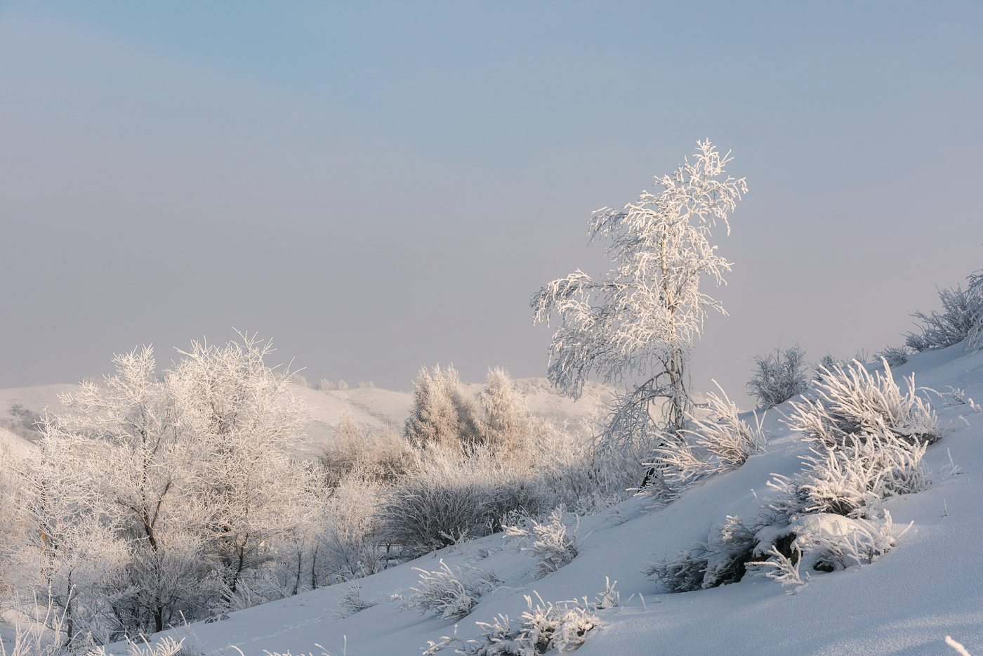 Зимняя сказка