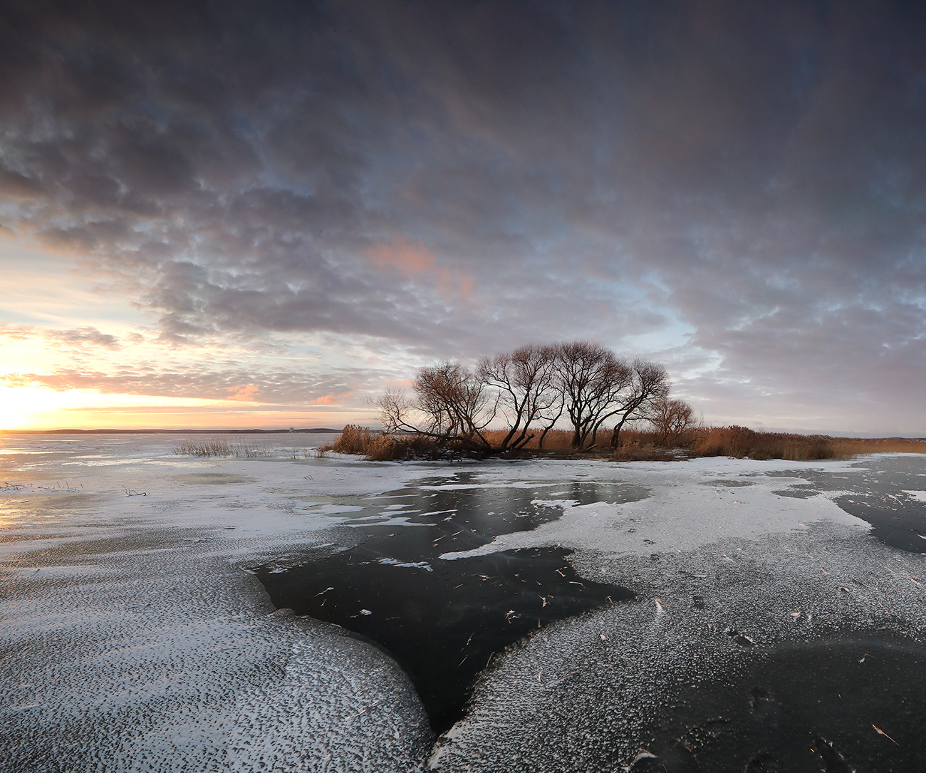 январская палитра