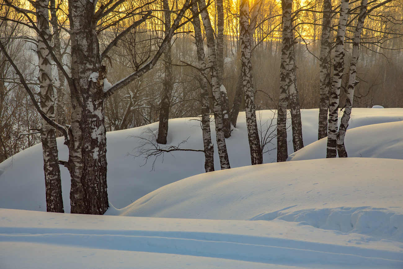 Спускаясь к Клязьме.