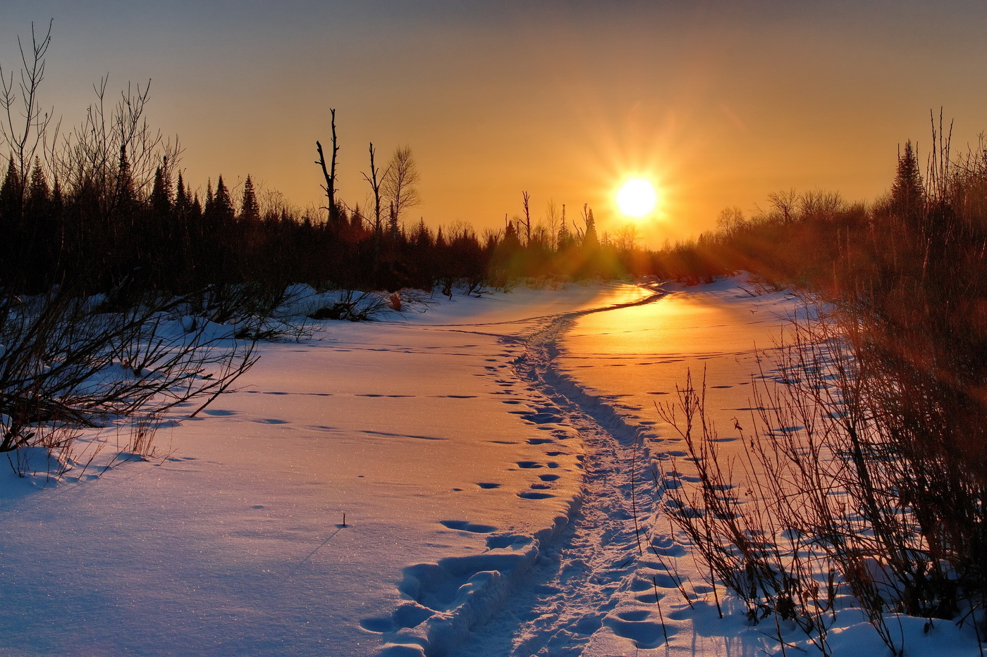 Охотничьими тропами.