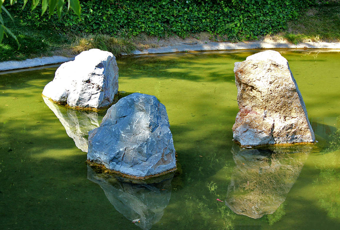 Совещание в пруду