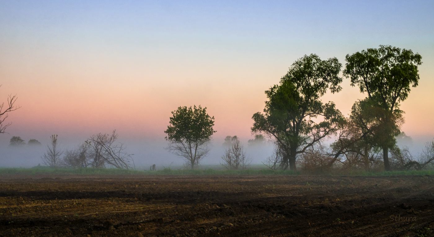Весна в поле.