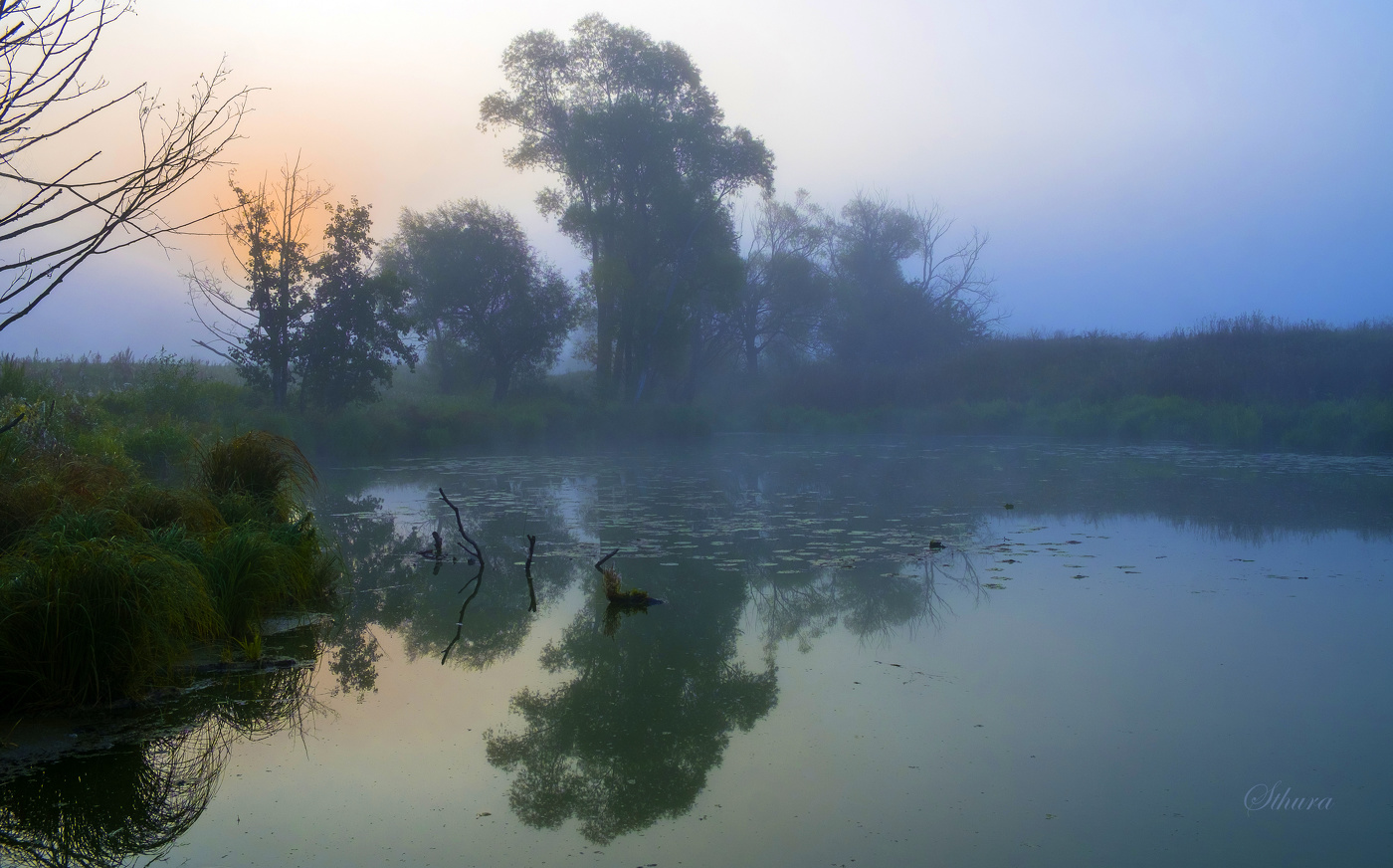 Солнце в тумане.