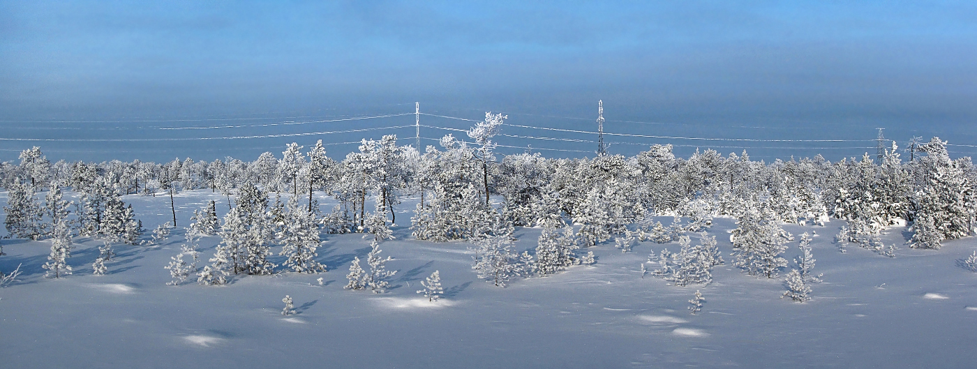 безмолвная морозная краса...
