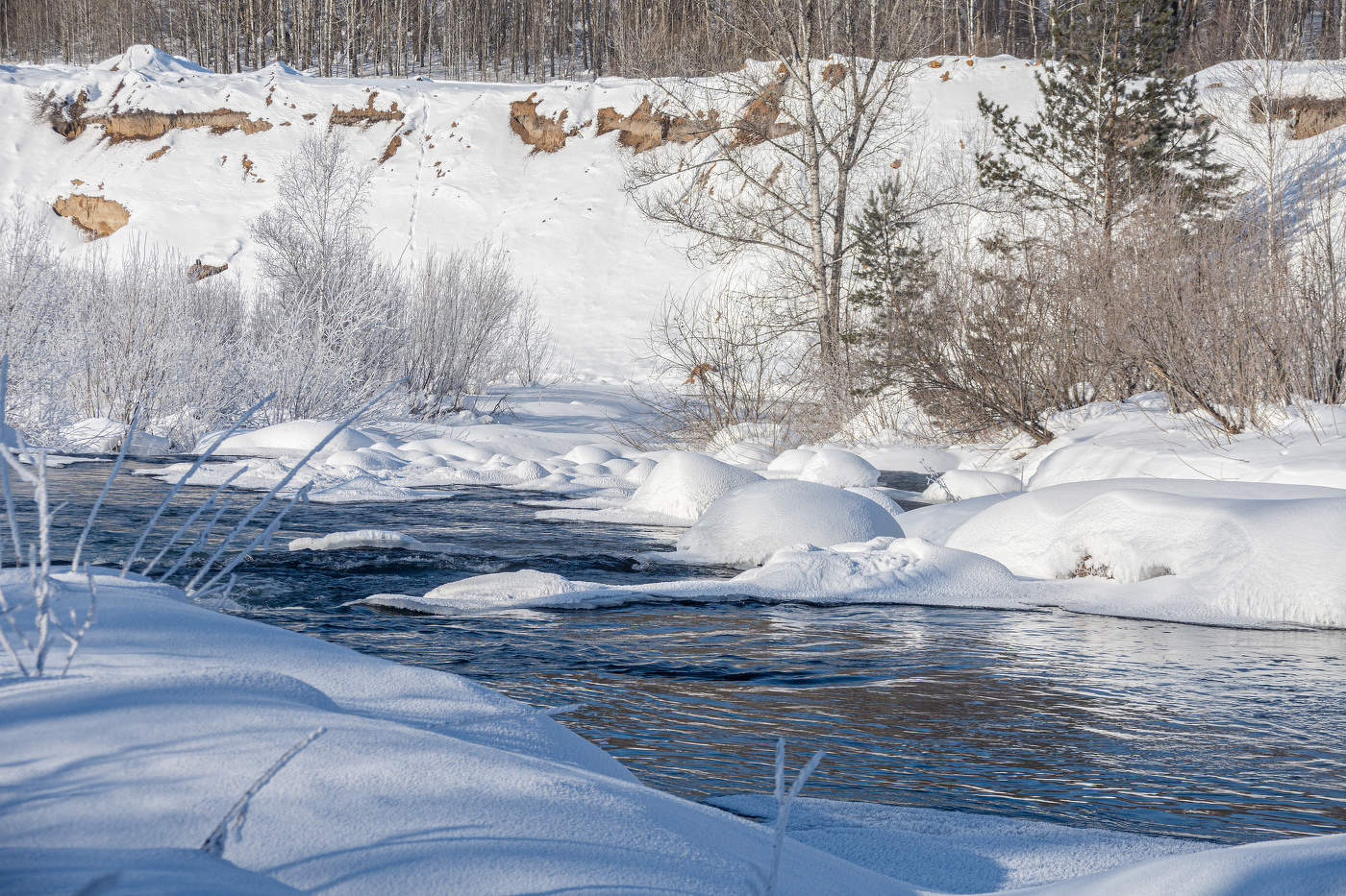 И мороз не берет