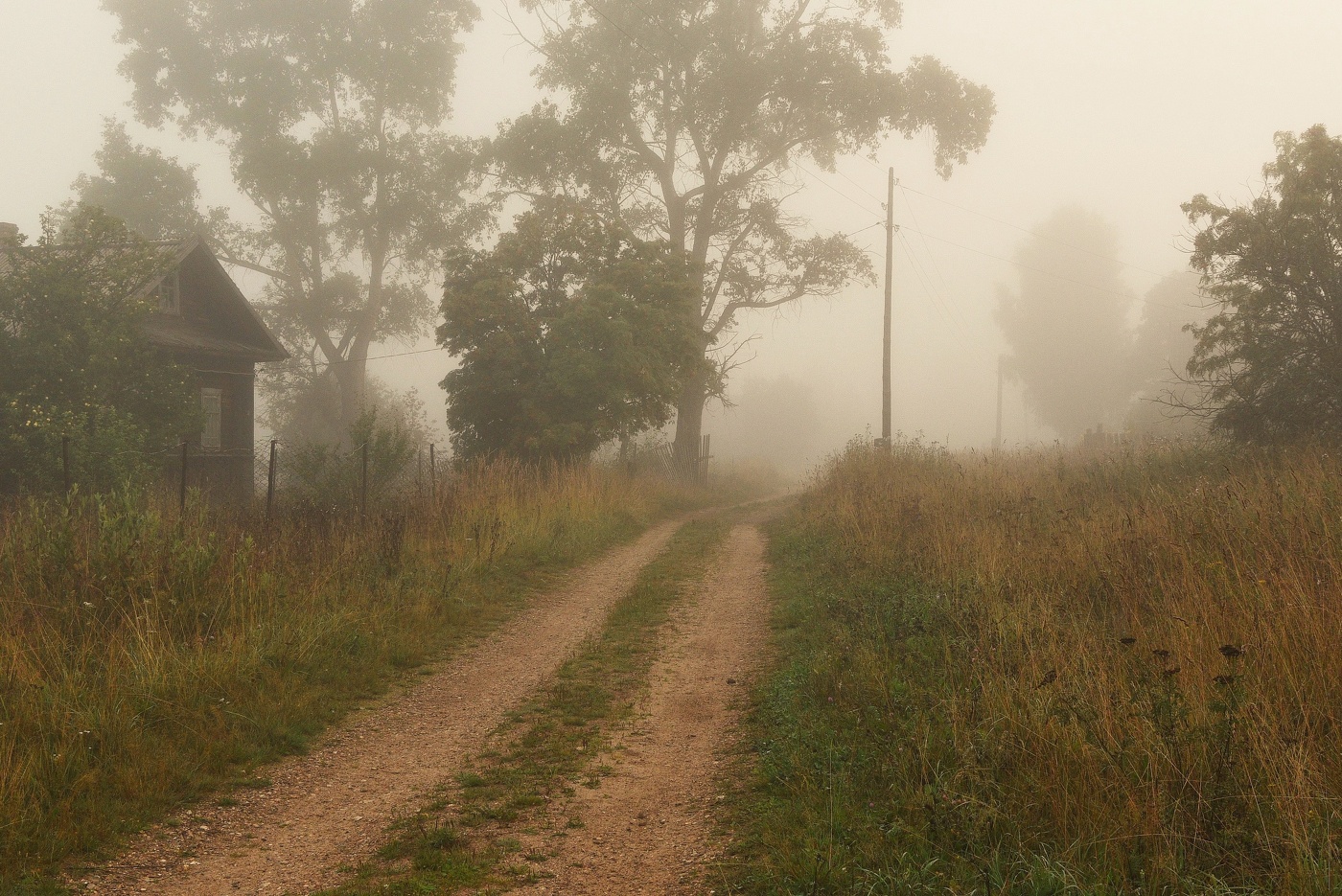 "Есть в тихом августе такая мягкая, певучая печаль..."