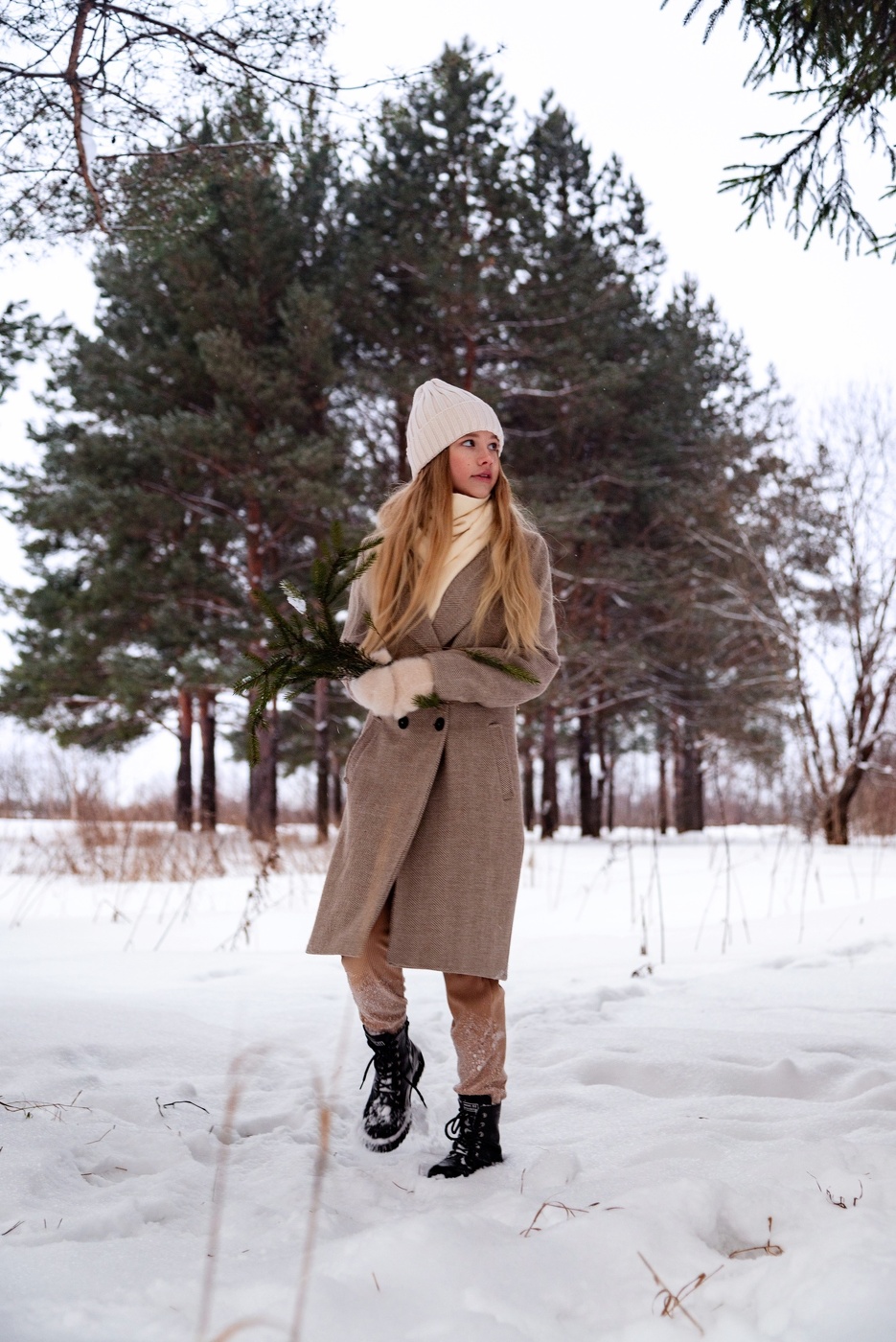 Еловая опушка