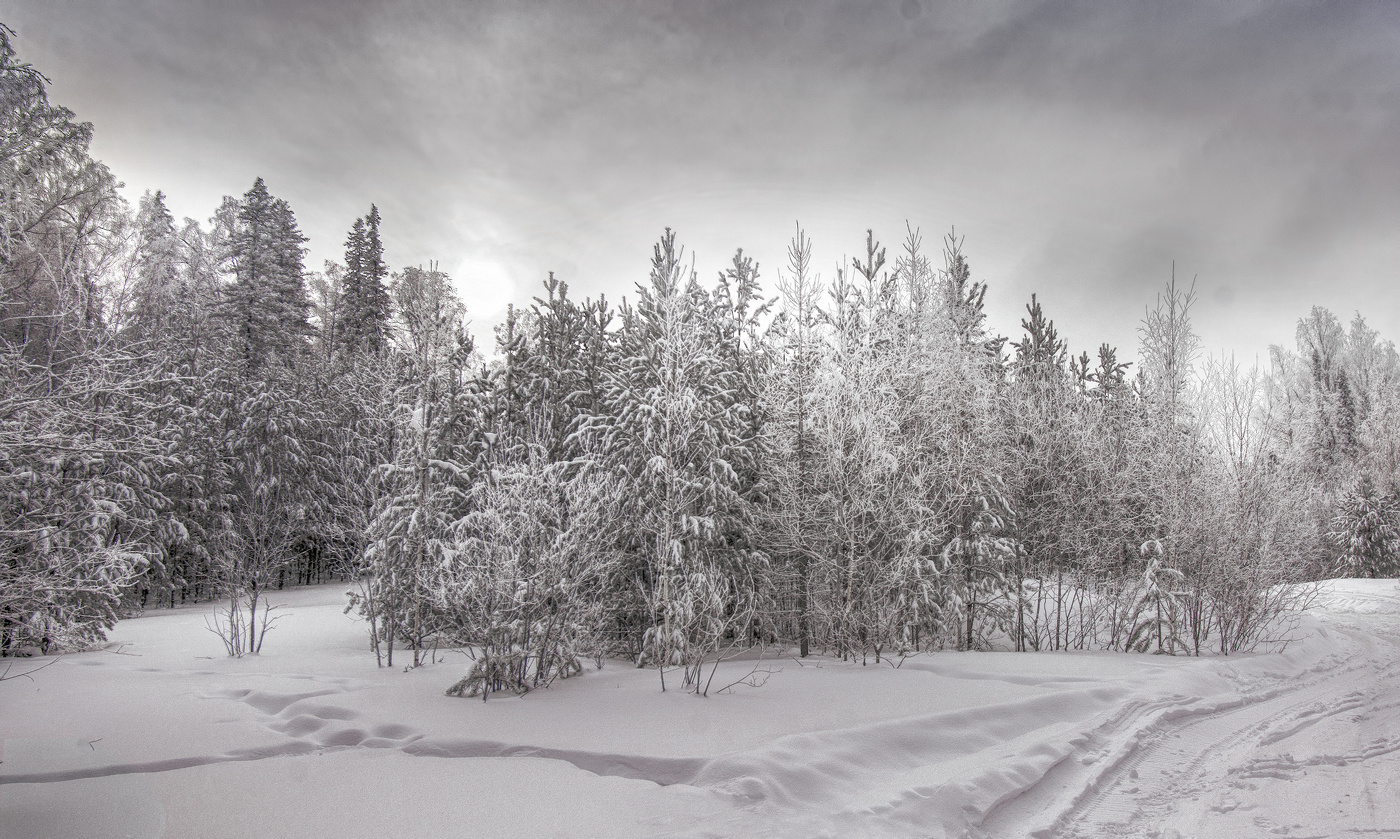 Зимнее солнце