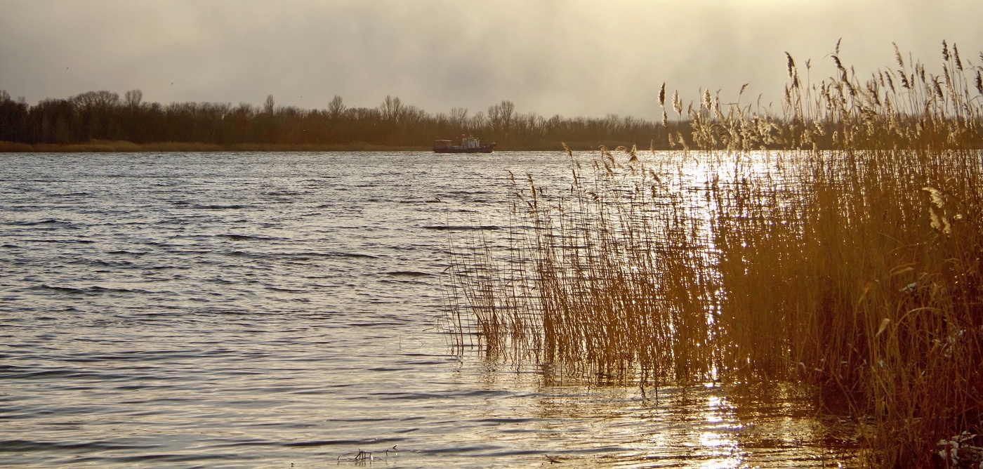 На закате дня