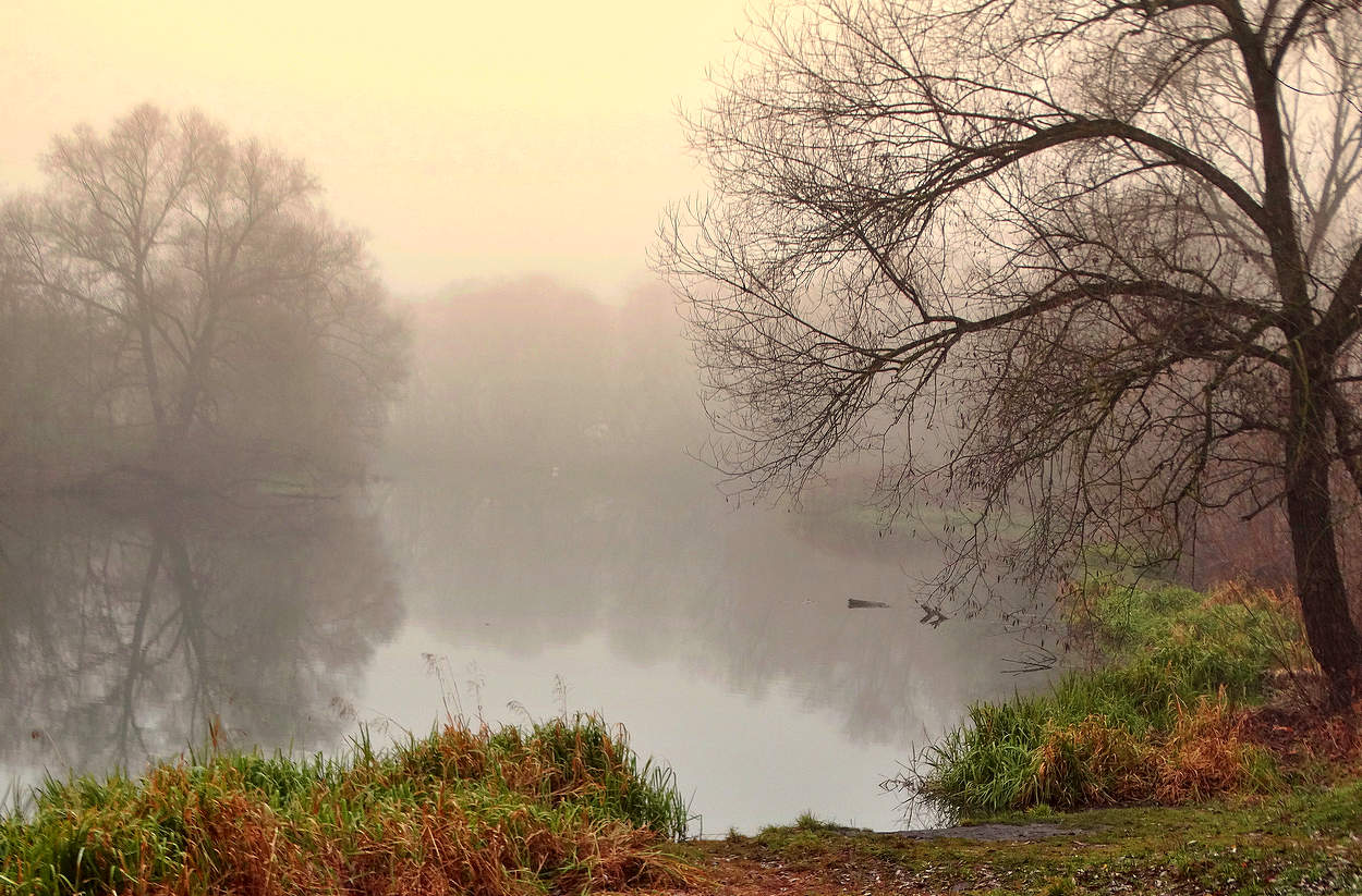 Туманная осень