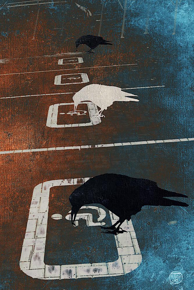 продолжение вороньей темы