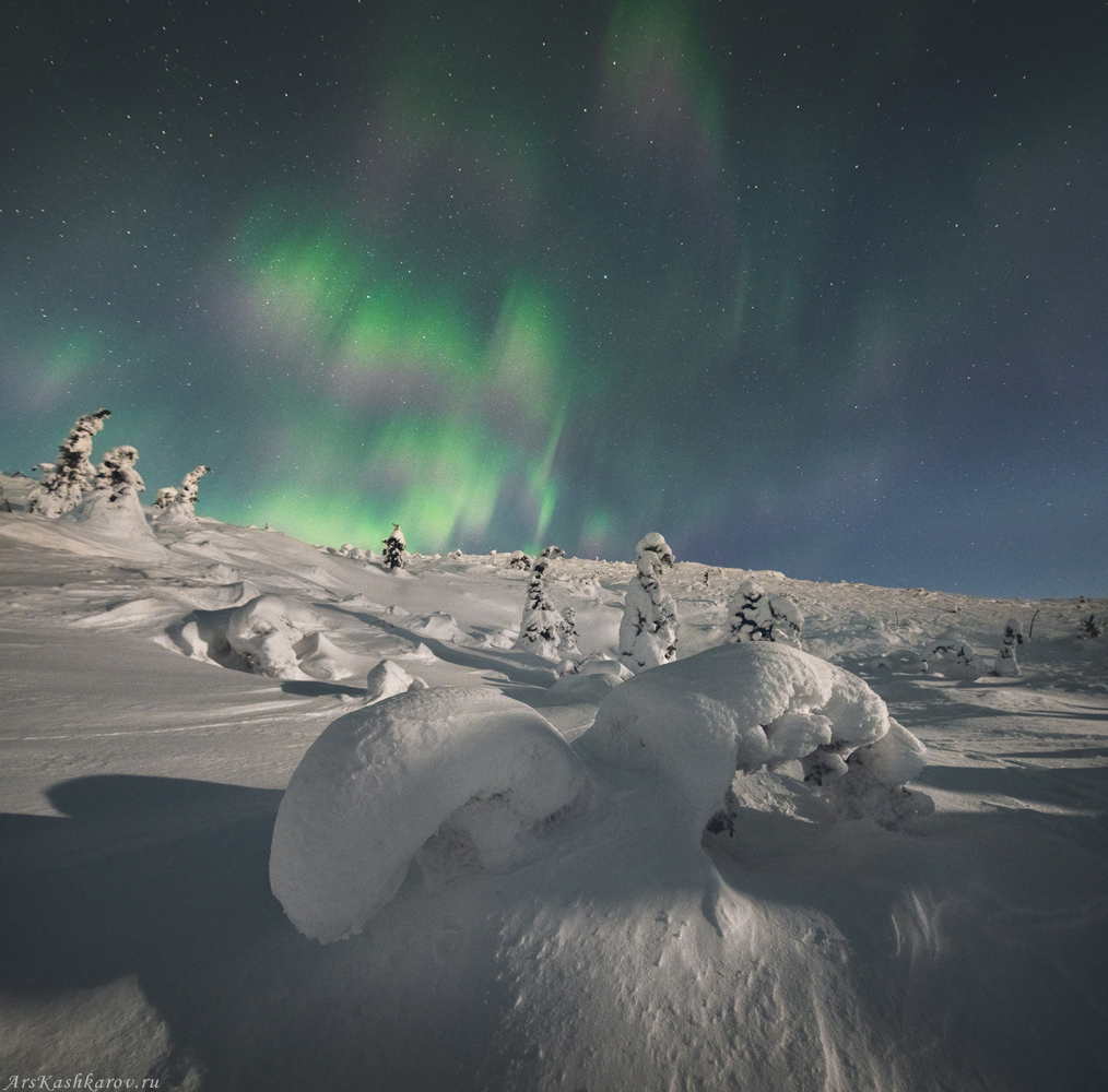 "Перламутровое сияние"