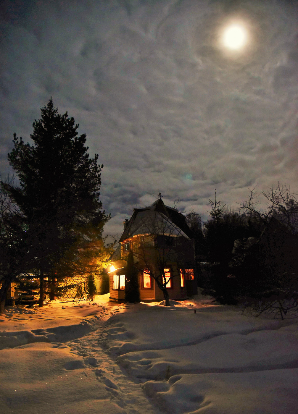 "Луна сквозь тучи мрачные желтела ..."