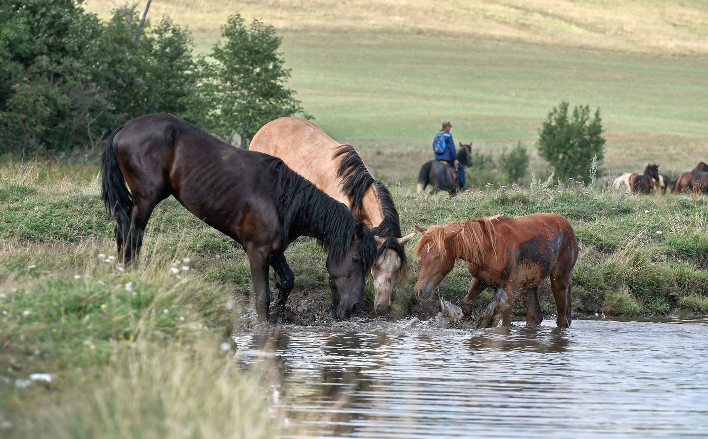 В жаркий день