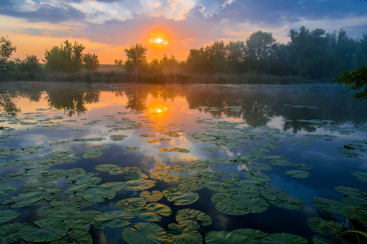 Летнее утро на озере.