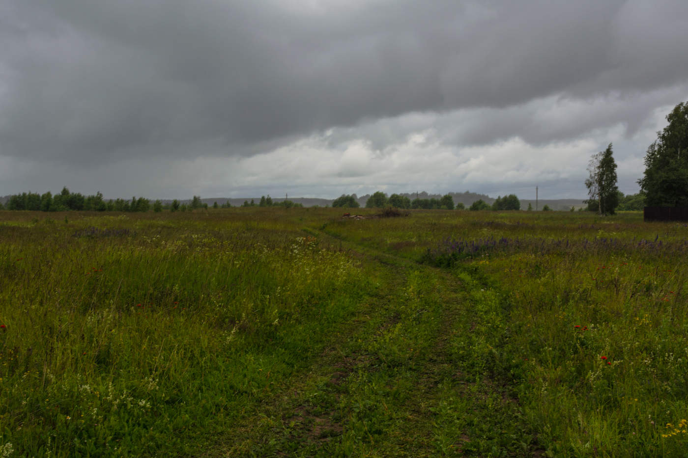 грустный пейзаж