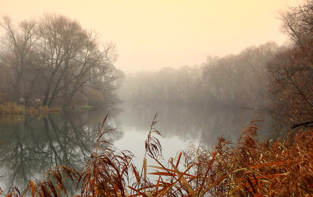 Ноябрьские туманы