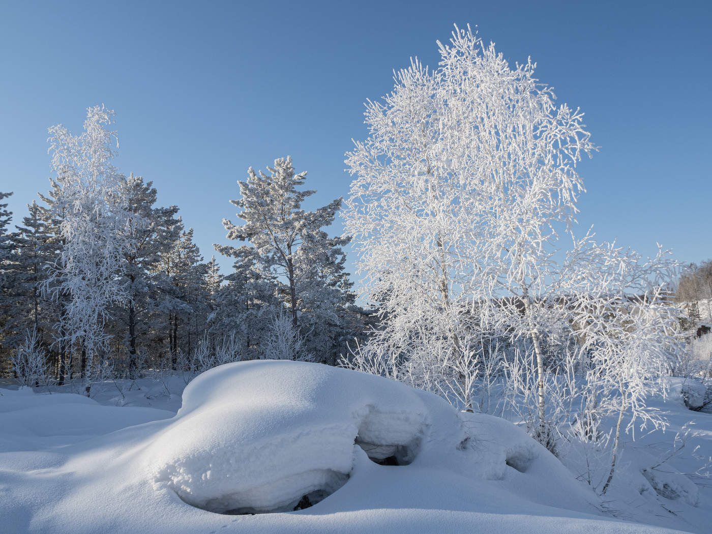 Зимние наряды