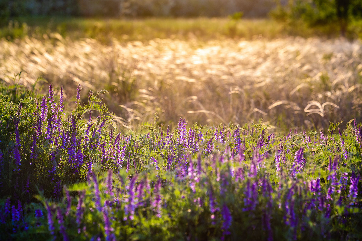 Вспоминая май