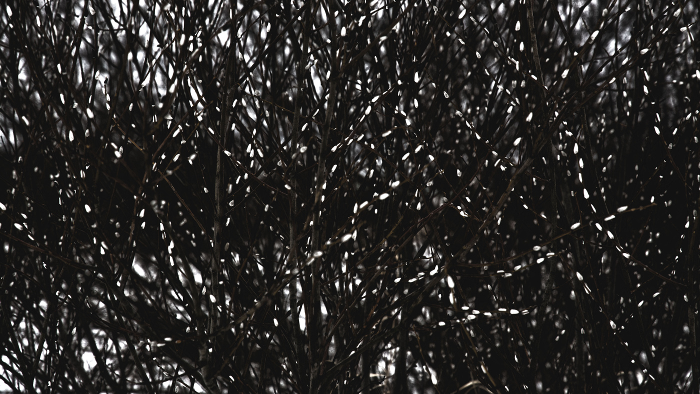 Жизнь вокруг