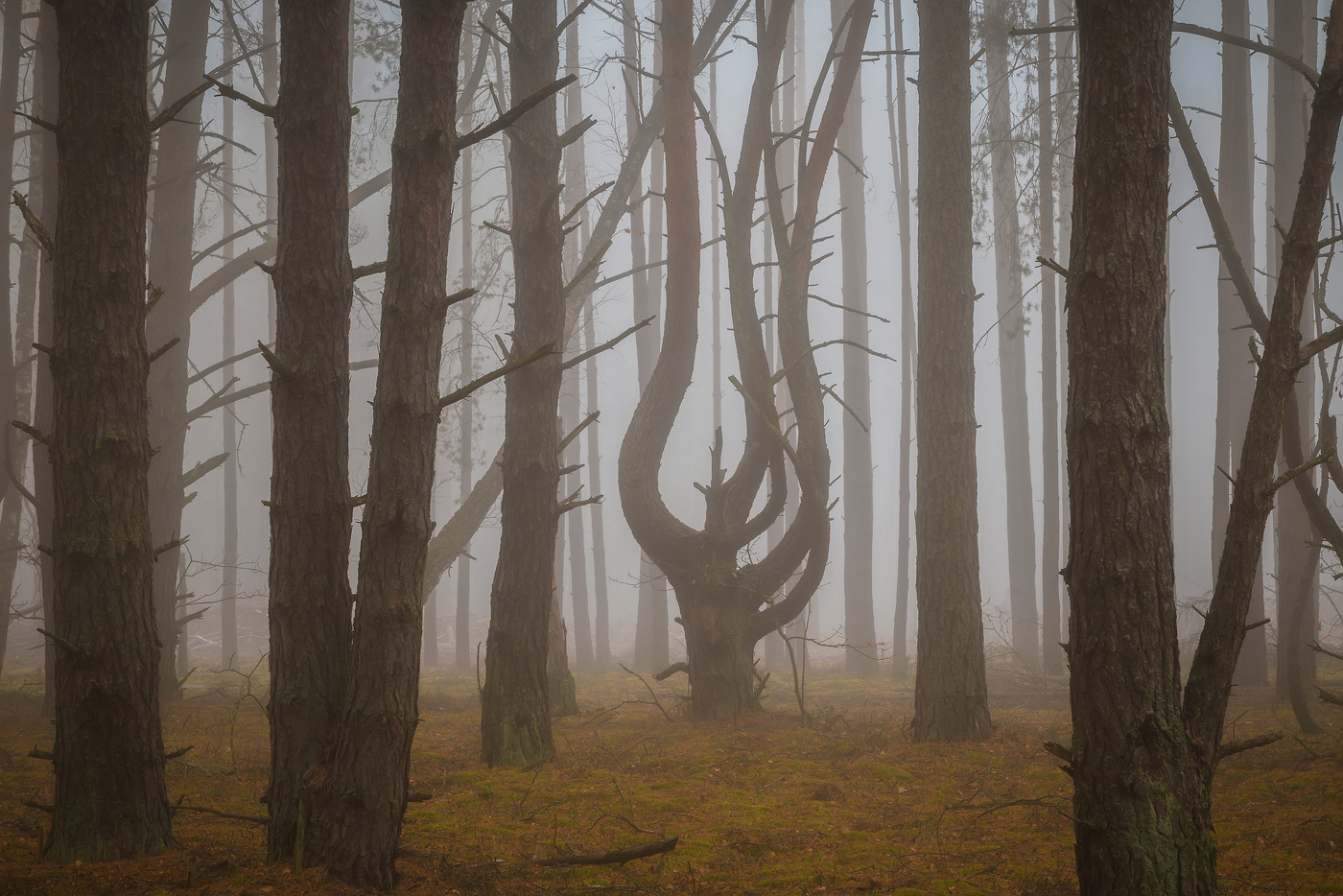 Чужой среди своих