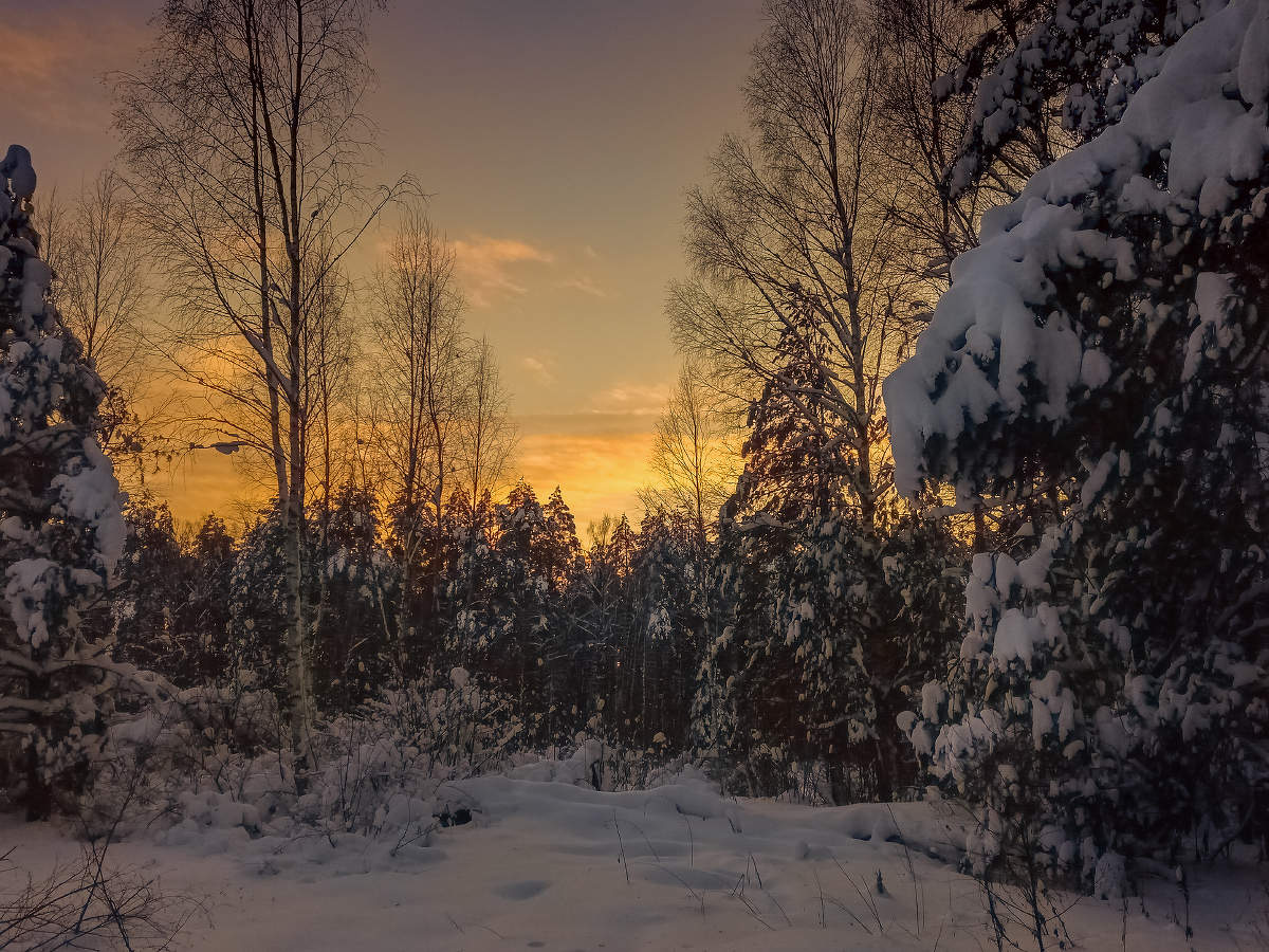 Поздний вечер на Черной Порзе