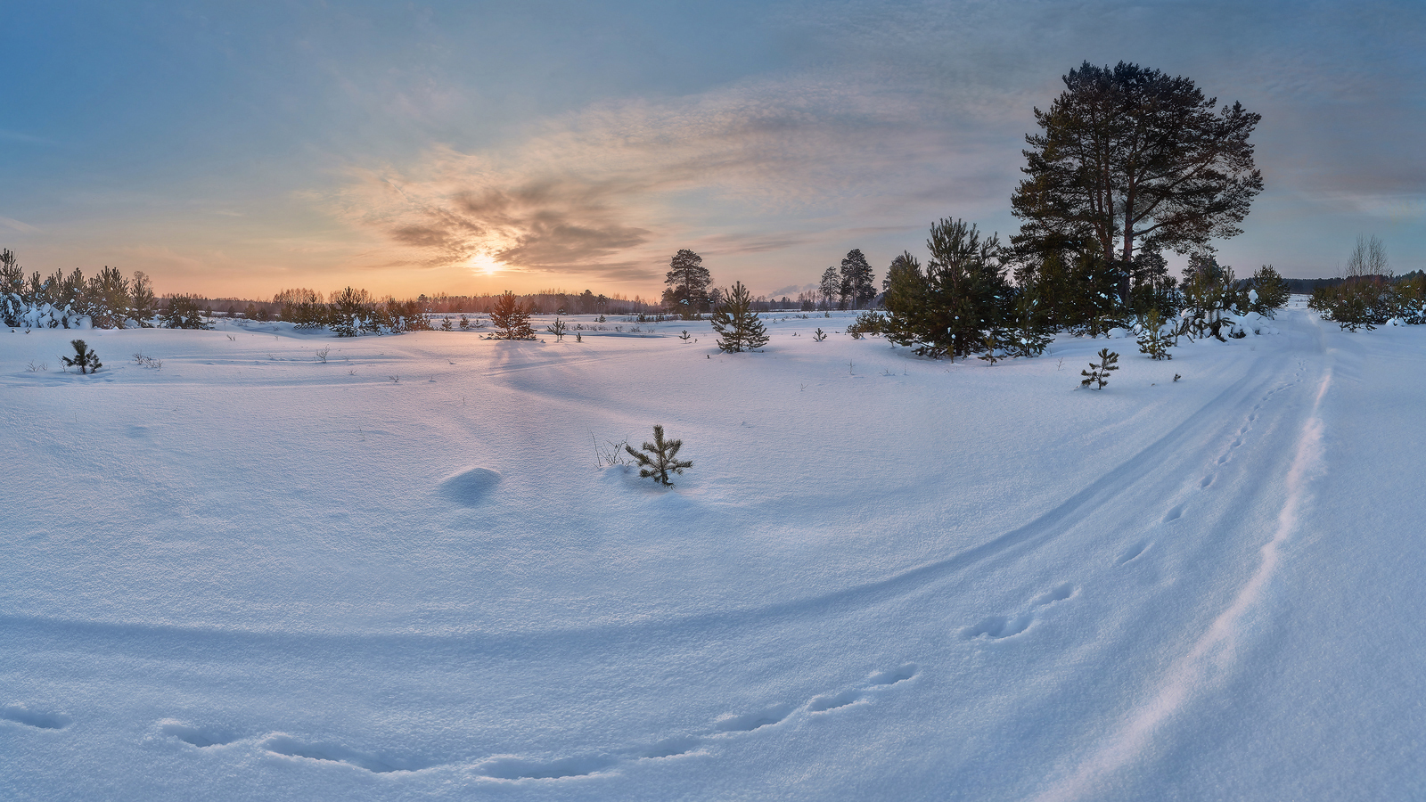 дорожное движение...