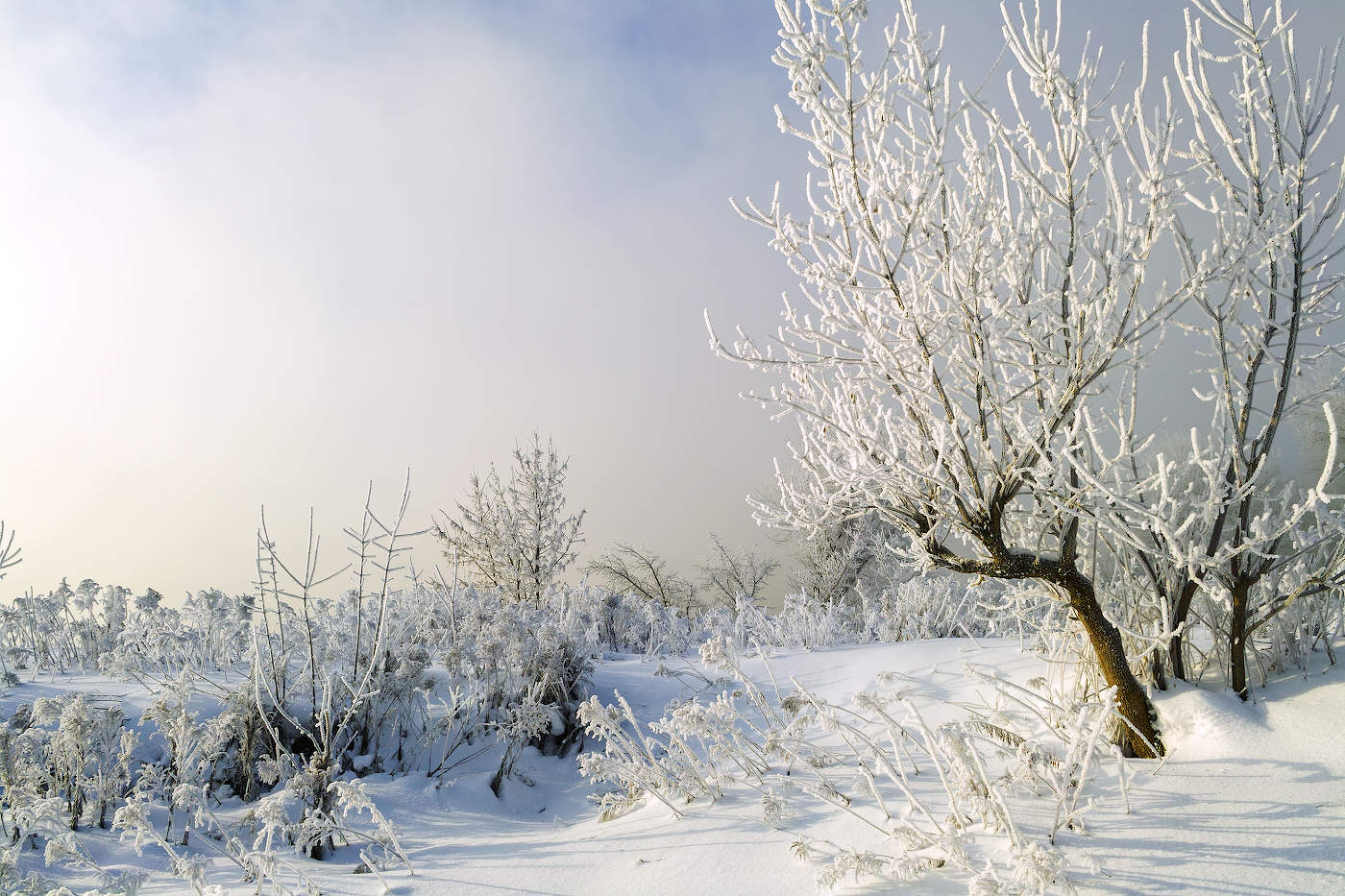 Хрустальная нежность