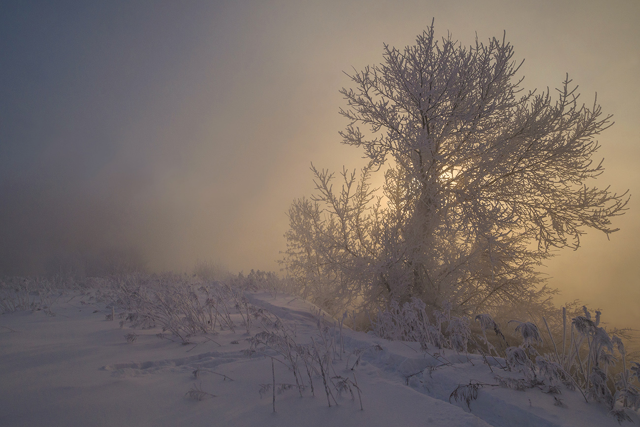 Холодное утро 2022
