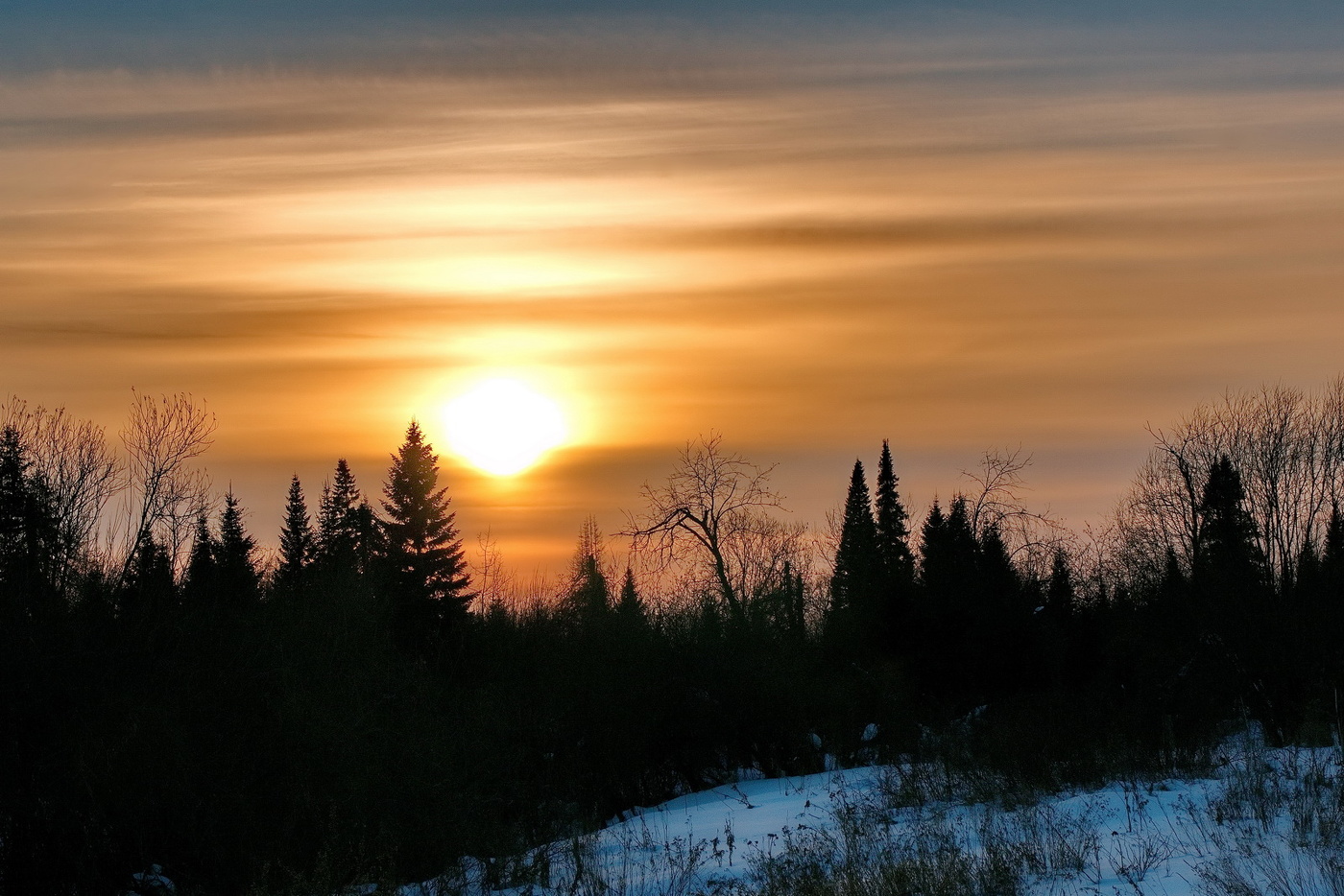 **На опушке леса.*