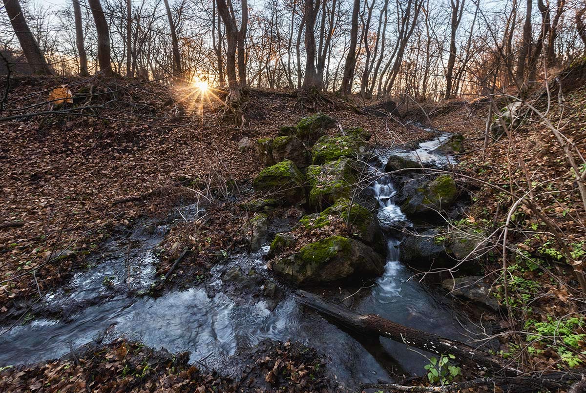 Утро в Сенной балке