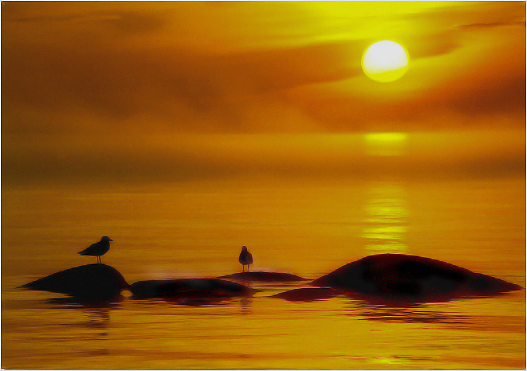 Золото Фнского залива