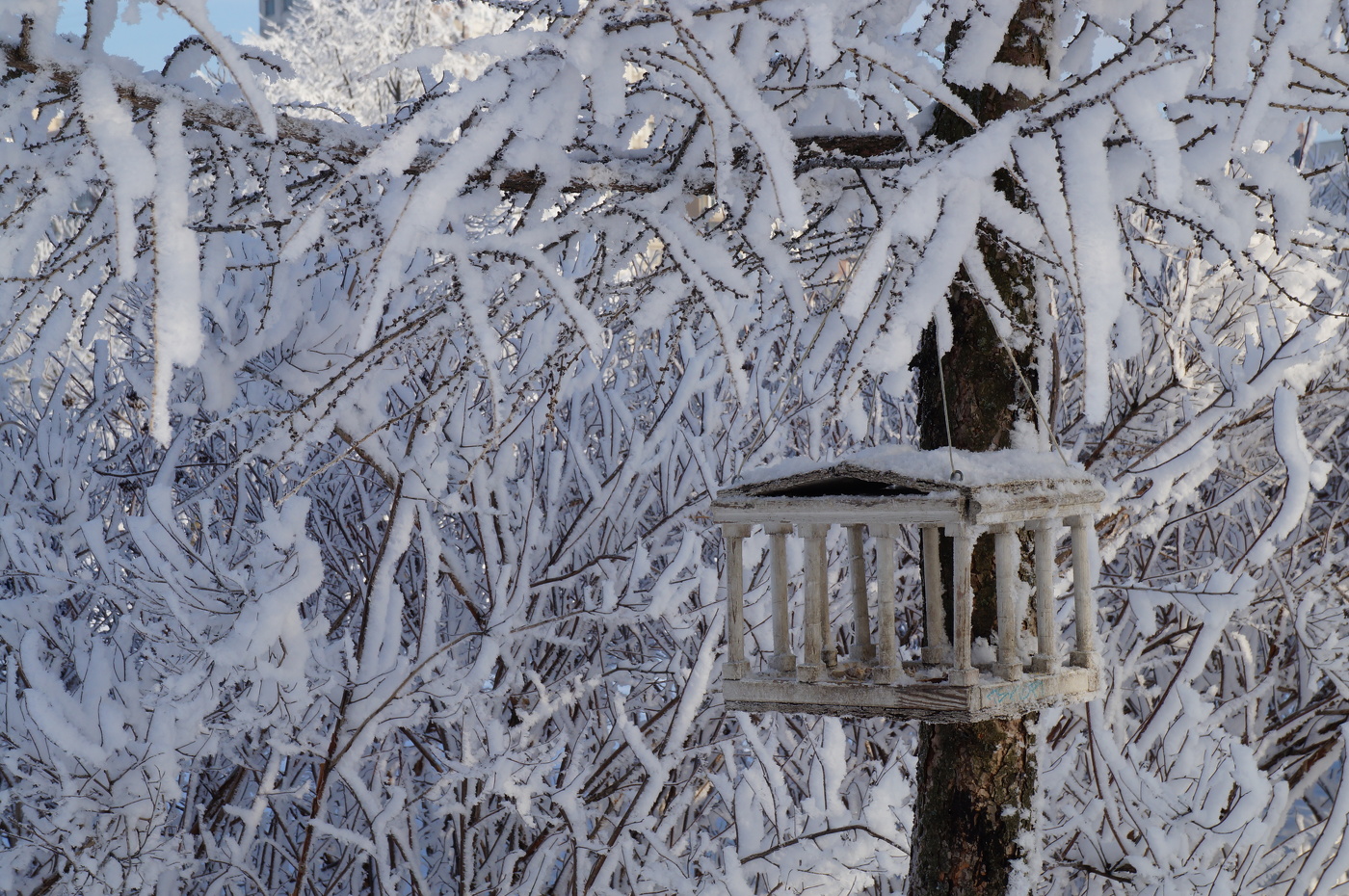 Это – Питер, детка