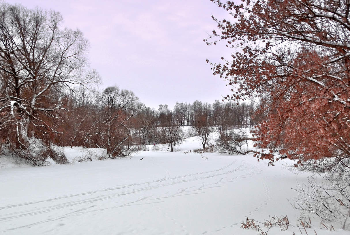 Февральский снег на Орлике