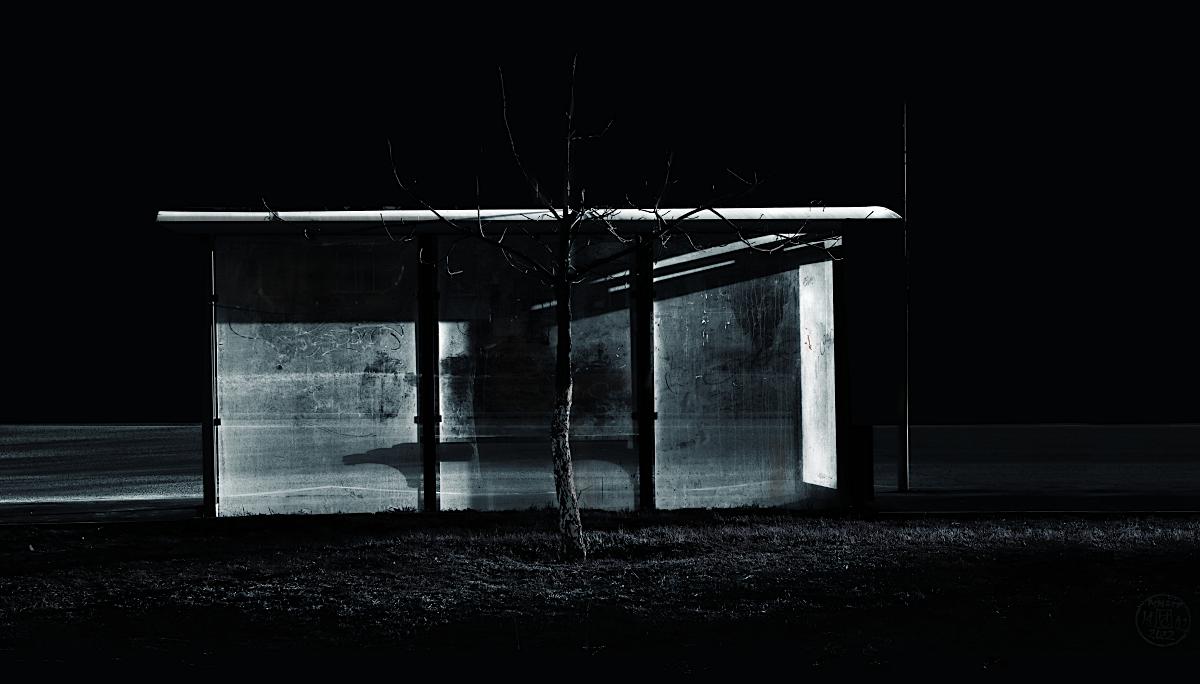 остановка в свете фар