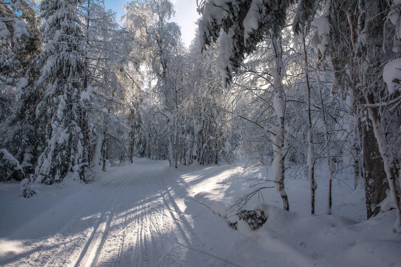 Луч света в снежном царстве