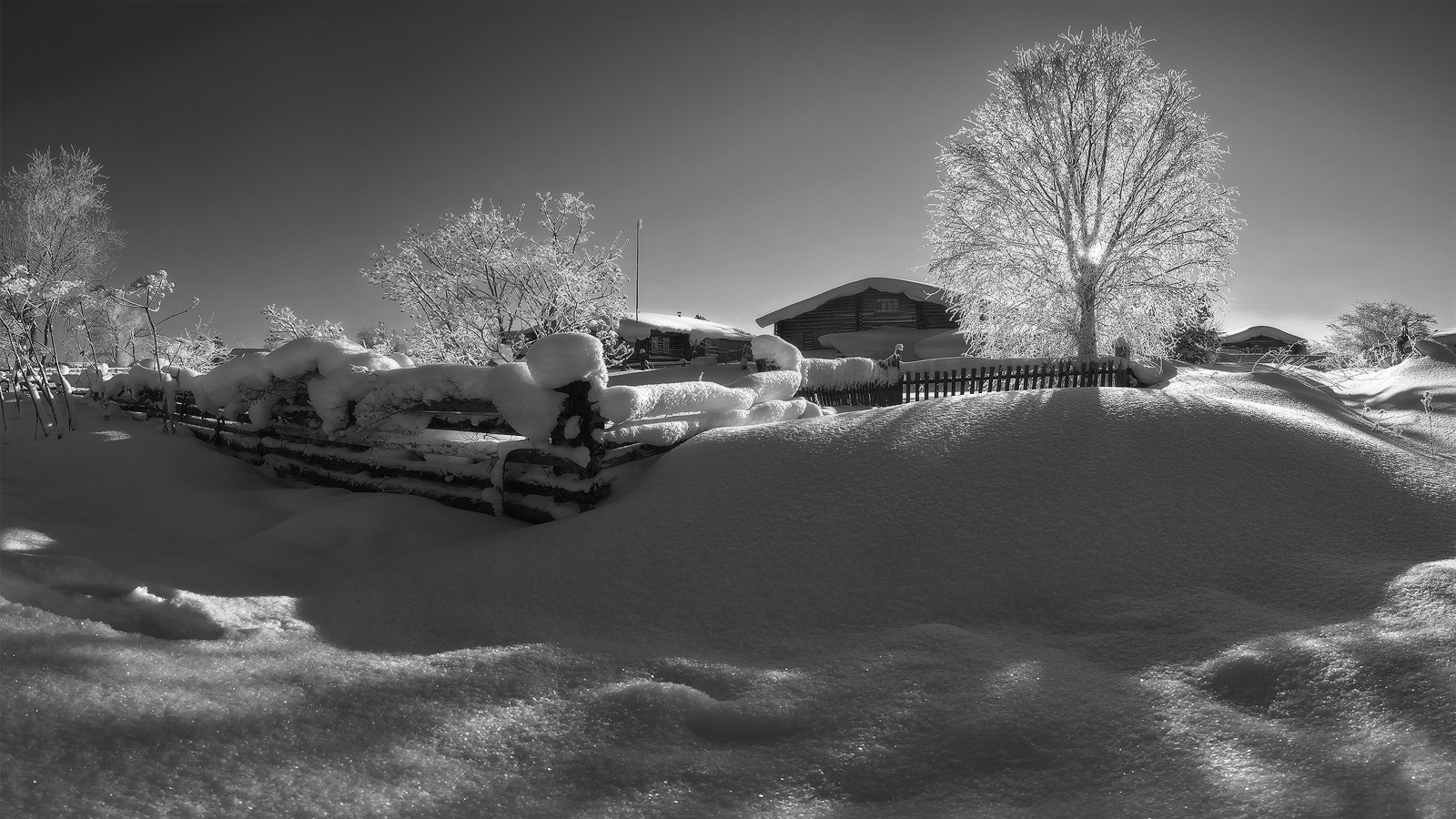 белое и черное...