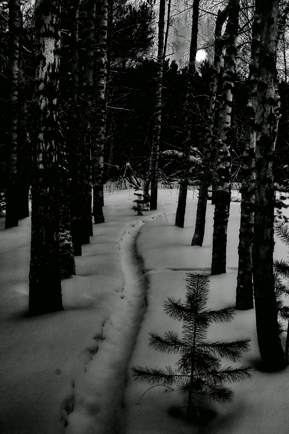 *Поздним вечером.**