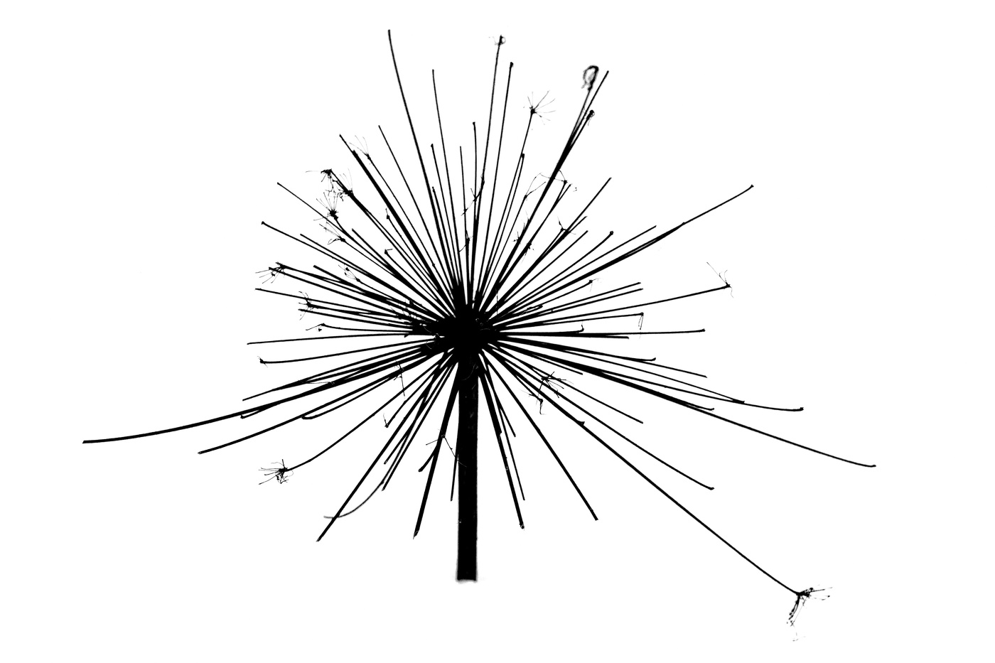 Жизнь вокруг