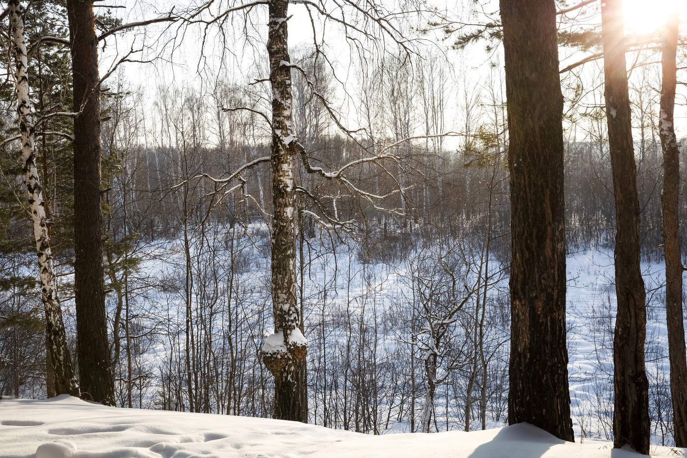 Зимний пейзаж