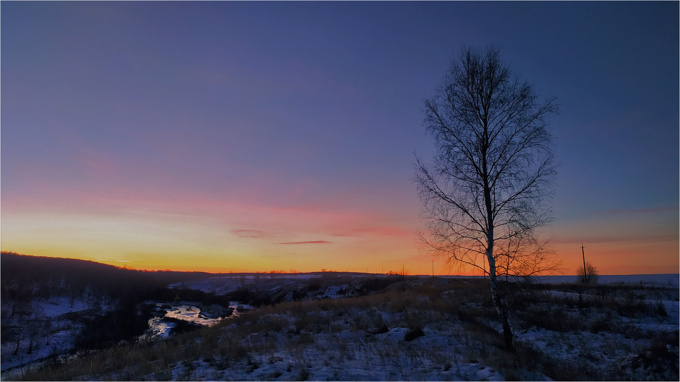 Березка одинокая