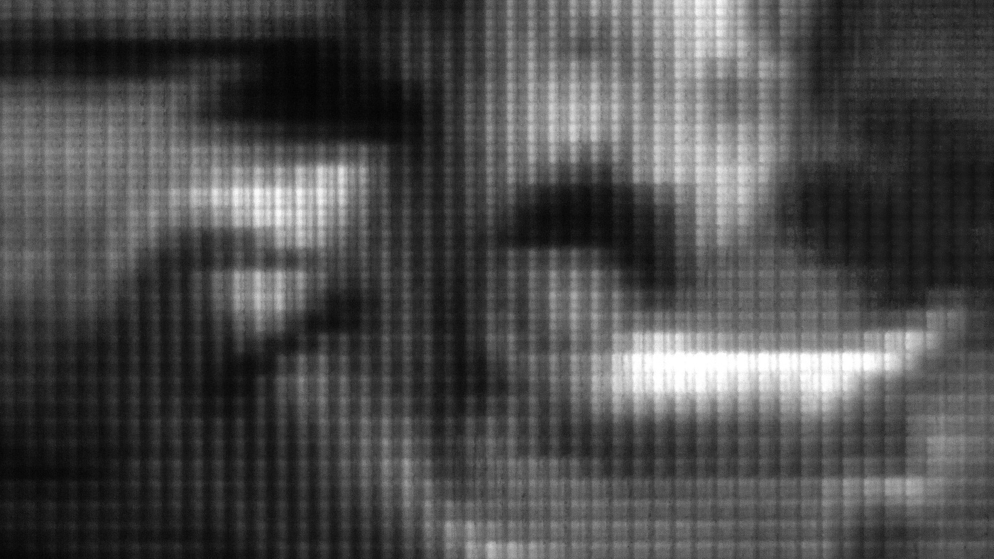 Жизнь вокруг