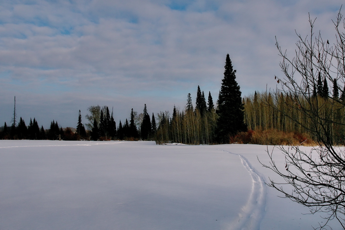 Зимним днём.